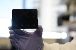 Zika : un nouveau test de dépistage rapide et peu coûteux