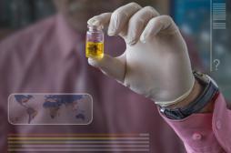 Zika : l’épidémie s’épuisera d’elle-même d’ici trois ans