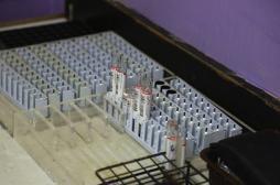 Floride : enquête en cours sur deux cas autochtones de Zika