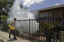 Zika : les femmes enceintes doivent éviter un quartier de Miami 