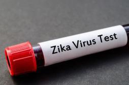 Lot-et-Garonne : une femme enceinte infectée par le virus Zika