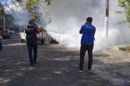 Zika : 60 pays touchés depuis le début de l'année