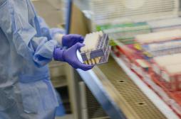 Zika : un test diagnostic rapide autorisé aux Etats-Unis 