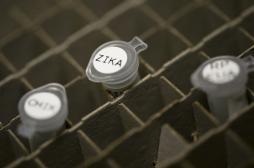 Zika : un premier cas autochtone au Texas