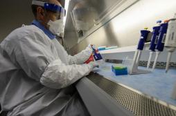 Zika : stopper la réplication du virus avec un vermifuge