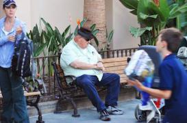 Découverte d'une protéine de l'intestin capable de réduire l’obésité