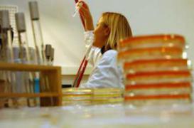 Antibiorésistance : 