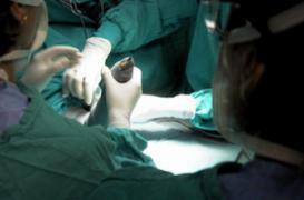 Le rein est l'organe le plus greffé en France