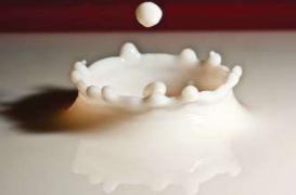 L’intolérance au lactose réduit le risque de plusieurs cancers