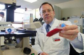 Des chercheurs vont produire des globules rouges universels