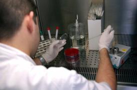 Cancer : l'ère des thérapies ciblées est ouverte