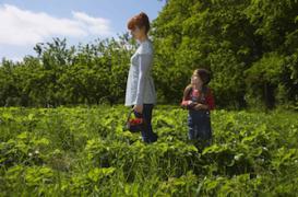 Grossesse après 40 ans : les réponses du Pr François Olivennes