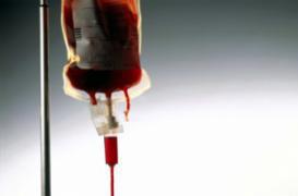 Une transfusion de sang jeune limite le vieillissement