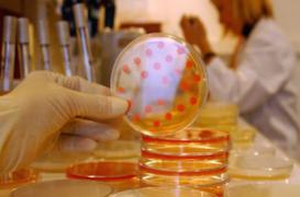 Antibiorésistance : l'OMS dénonce une menace devenue réalité