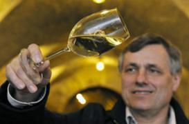 Les oenologues exposés aux problèmes dentaires