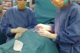 Un implant en métal pour lutter contre la douleur