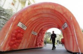Dépistage du cancer colorectal : feu vert pour le nouveau test immunologique