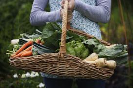 La consommation de fibres toujours largement insuffisante