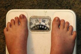 Nouvelle-Zélande : l'obésité d'un immigré pourrait le faire expulser