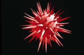 Sida : des chercheurs extirpent le VIH de ses refuges