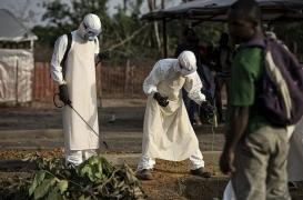 Ebola : 4 survivants sur 5 ont des séquelles