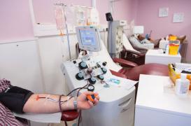 Don du sang : portrait-robot des receveurs 