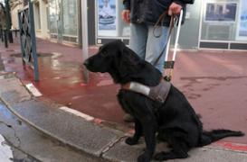 Fatiha recouvre en partie la vue grâce à des lunettes futuristes