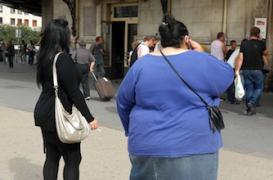 Enrichir la flore intestinale pour combattre l'obésité