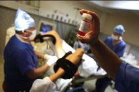 FIV : un traitement par ibuprofène améliore le résultat