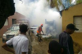 Dengue : 184 cas recensés à la Réunion