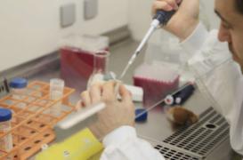 50 ans de l'Inserm : les Européens plébiscitent les greffes d'organe