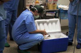 50 000 Français vivent avec une greffe