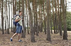 2000 pas de plus par jour préviennent les maladies cardiovasculaires