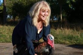 Levothyrox : l'actrice Mylène Demongeot va porter plainte contre la nouvelle formule du médicament 