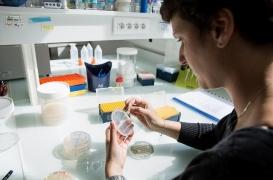 Recherche : les chercheurs en colère contre le gouvernement et l’Inserm