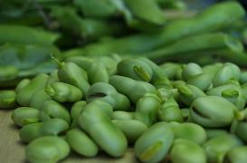Les pois et les haricots nourrissent mieux que la viande
