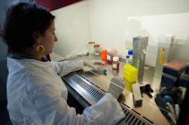 Diabète : agir sur la flore intestinale pour combattre la maladie