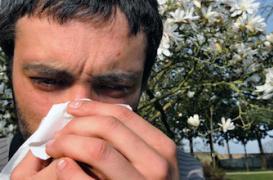 Pollens : la carte de France des allergies 