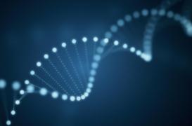 Mutations génétiques : certains enfants en ont deux fois plus que les autres 