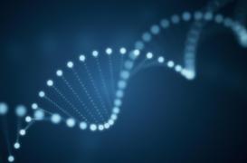 États-Unis : l’ADN d’un homme partiellement remplacé par celui de son donneur 