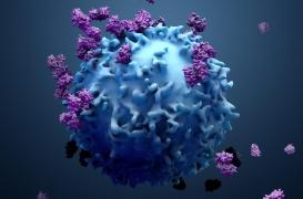 Des chercheurs percent l’un des secrets du cancer