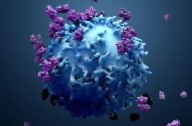 Cancer du poumon : comment le glucose empêche les cellules immunitaires de jouer leur rôle 