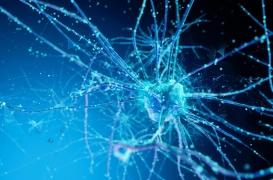 Comment un réseau de neurones favorise-t-il nos relations sociales ?  