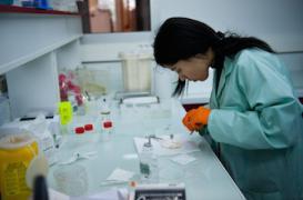 Intolérances alimentaires : le bisphénol A serait responsable