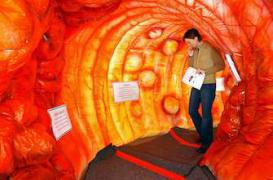 Cancer colorectal : le dépistage organisé améliore la détection précoce