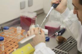 Chromosome artificiel : un nouvel 