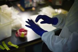 Les super-bactéries pourraient coûter 100 000 milliards de dollars en 2050