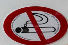 La prévention permettrait d'éviter 40 % des cancers du pancréas 