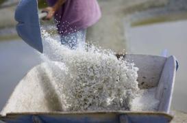 Le rôle clé du sel dans l'épilepsie 