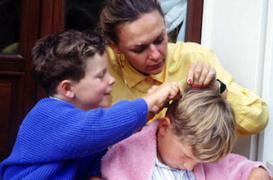 Poux : les produits vétérinaires contre-indiqués chez l'enfant